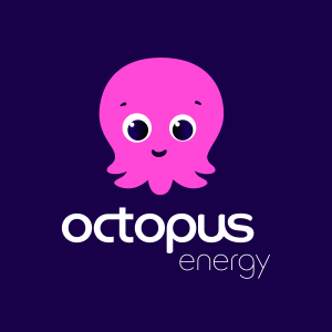 Octopus Energy - capture projet
