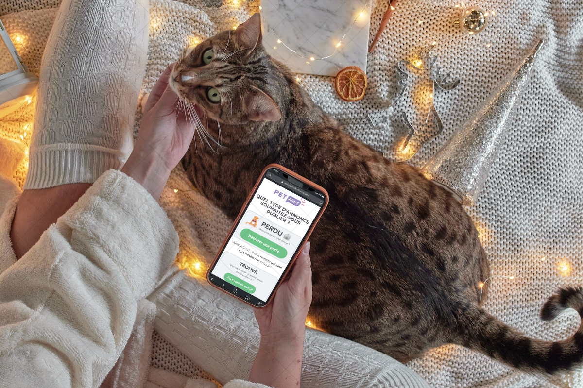 Pet Alert - capture projet